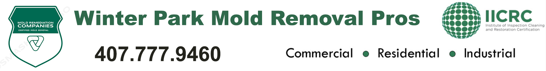 Winter Park Mold Removal Pros