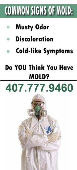 Winter Park Mold Remediation Contractor